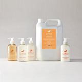 Citrus Grapefruit & Sweet Orange Hand Wash