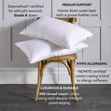 Luxury Goose Down Surround Pillow