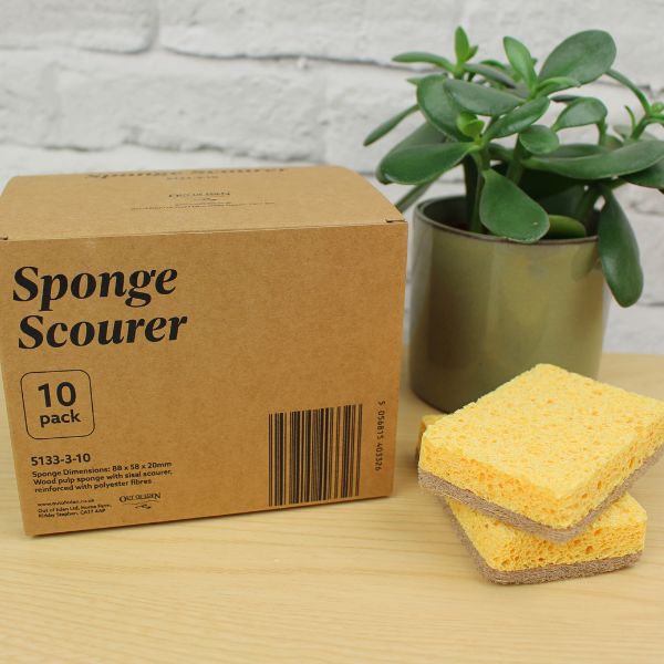 Sponge Scourer - Pack of 10