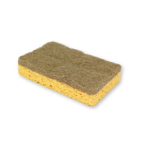 Sponge Scourer - Pack of 10