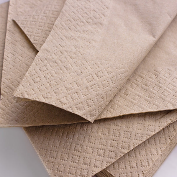 2-Ply Recycled Paper Napkins 33x33cm - Pack Of 100