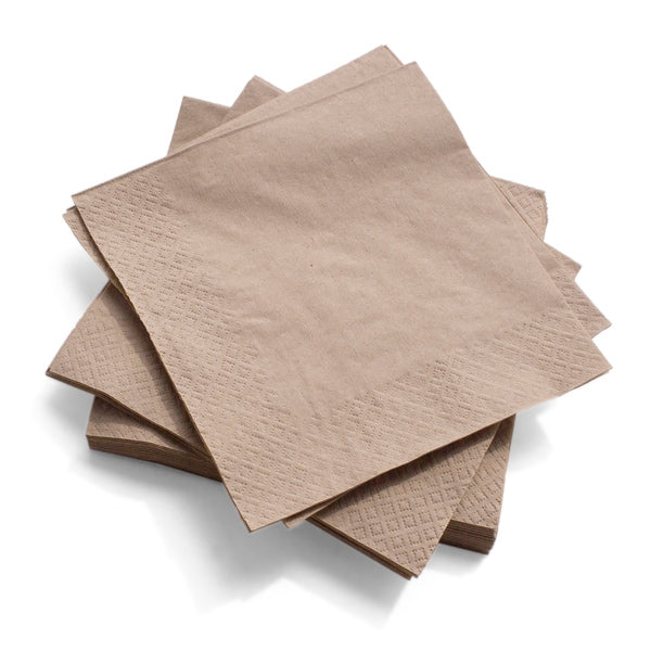 2-Ply Recycled Paper Napkins 33x33cm - Pack Of 100