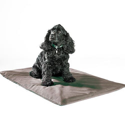 Odour-Control Dog Mat