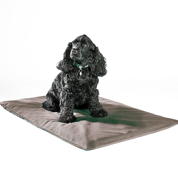 Spare Cover For Odour-Control Dog Mat