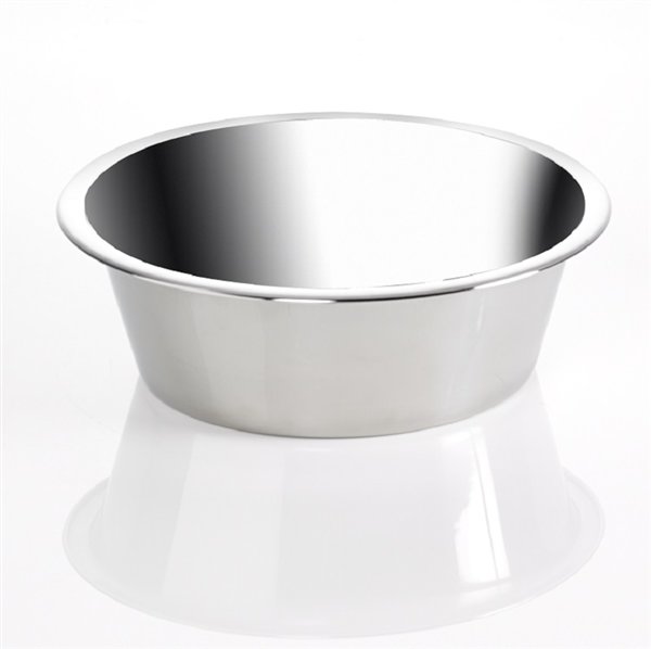 Stainless Steel Pet Water Bowl