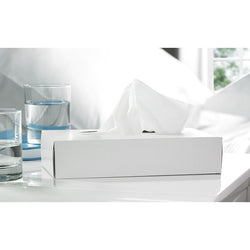 White 2-Ply Oblong Tissues - Pack Of 36